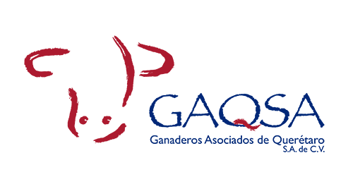 Logo Gaqsa
